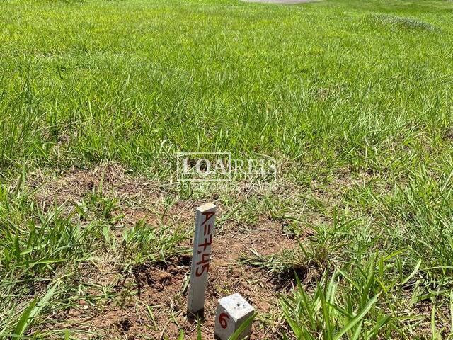 #TE1210 - Terreno em condomínio para Venda em Caçapava - SP - 3