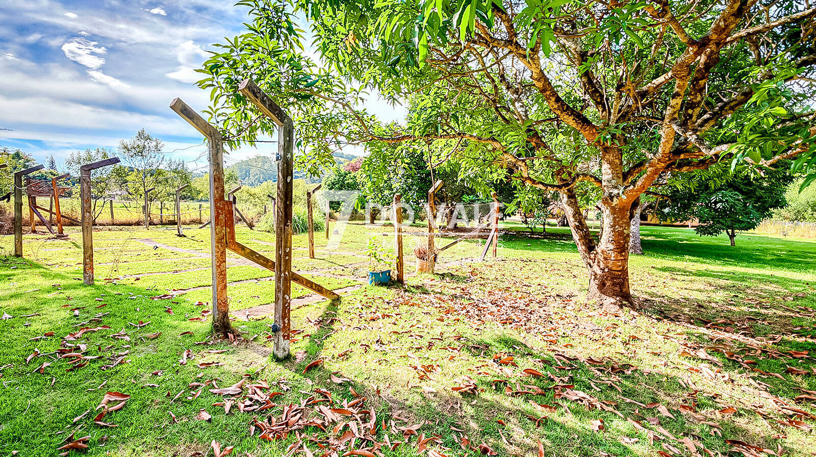 Sítio, 4 quartos, 2 hectares - Foto 8