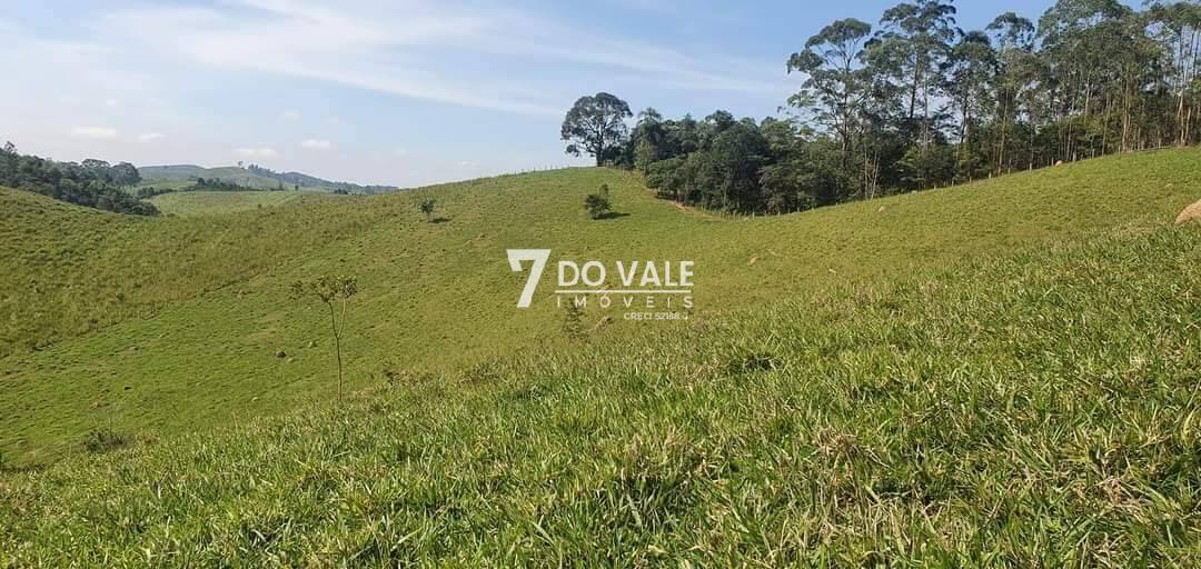 Sítio, 7 quartos, 15 hectares - Foto 8