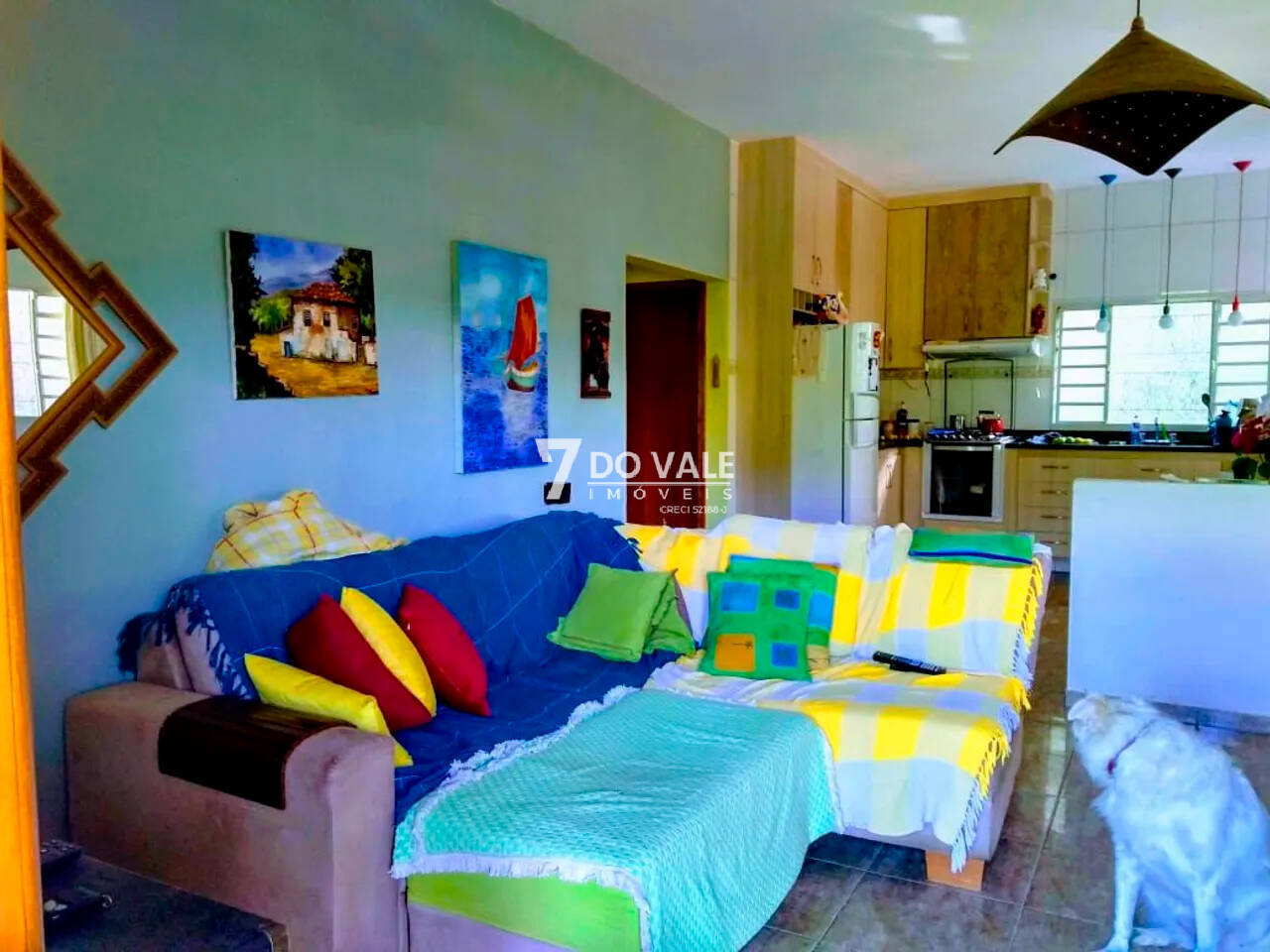 Chácara, 3 quartos, 10000 m² - Foto 6