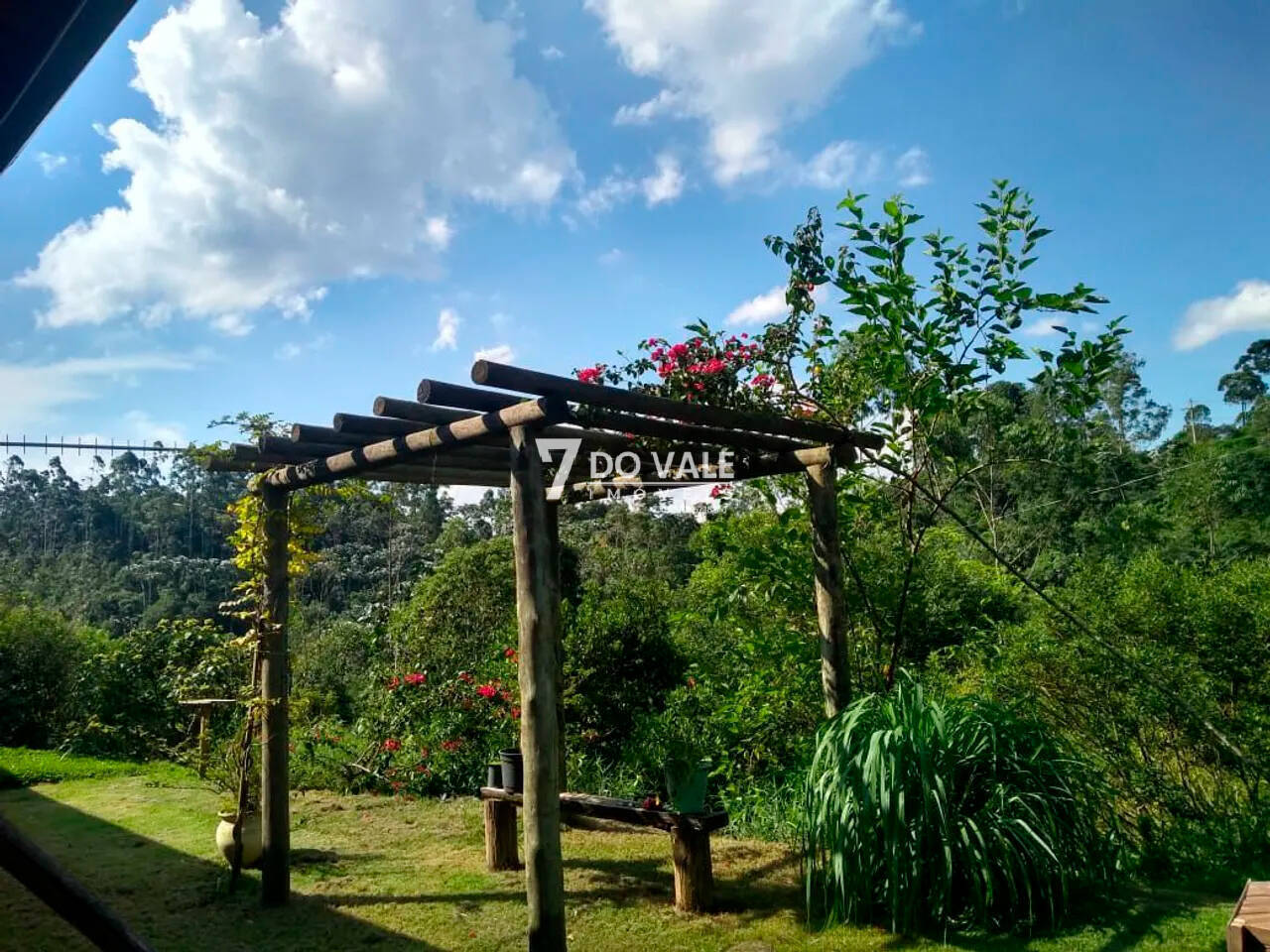Chácara, 3 quartos, 10000 m² - Foto 3